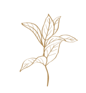 tea-leaf-2.png